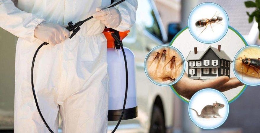 Şereflikoçhisar Böcek İlaçlama