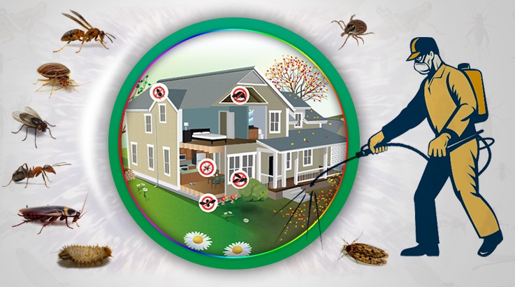 Şereflikoçhisar Böcek İlaçlama