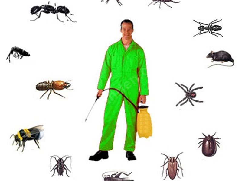 Şereflikoçhisar Böcek İlaçlama